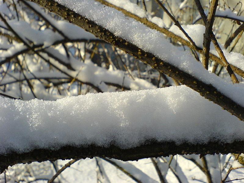 Winter Storm Names